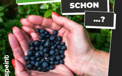 … dass Wildheidelbeeren das Gedächtnis älterer Menschen stärken können?